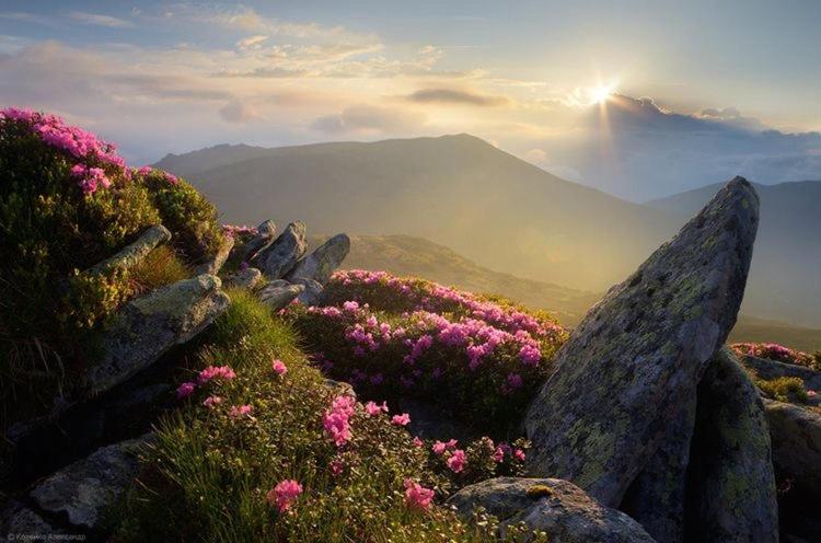 Sadyba Domashniy Zatyshok Pilipets ภายนอก รูปภาพ